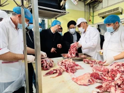 بازدید دست اندرکاران حج وزیارت از آشپزخانه کربلای معلی

طبخ دو  میلیون پرس غذا برای زائران عتبات در سال ۱۴۰۳ / فرایند کاملاً بهداشتی و تحت نظارت است 5