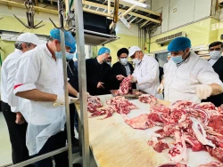 بازدید دست اندرکاران حج وزیارت از آشپزخانه کربلای معلی

طبخ دو  میلیون پرس غذا برای زائران عتبات در سال ۱۴۰۳ / فرایند کاملاً بهداشتی و تحت نظارت است 6