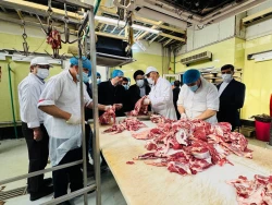 بازدید دست اندرکاران حج وزیارت از آشپزخانه کربلای معلی

طبخ دو  میلیون پرس غذا برای زائران عتبات در سال ۱۴۰۳ / فرایند کاملاً بهداشتی و تحت نظارت است 7