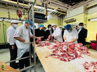 بازدید دست اندرکاران حج وزیارت از آشپزخانه کربلای معلی

طبخ دو  میلیون پرس غذا برای زائران عتبات در سال ۱۴۰۳ / فرایند کاملاً بهداشتی و تحت نظارت است 7