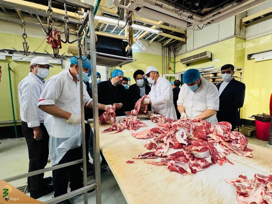 بازدید دست اندرکاران حج وزیارت از آشپزخانه کربلای معلی

طبخ دو  میلیون پرس غذا برای زائران عتبات در سال ۱۴۰۳ / فرایند کاملاً بهداشتی و تحت نظارت است 7