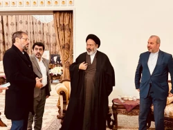 دیدار نماینده ولی فقیه در امور حج و زیارت با سفیر ایران در عراق برای پیگیری خدمات بیشتر به زائرین 7