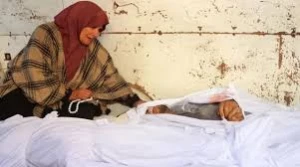 ۴۶ شهید و مجروح در غزه در ۴۸ ساعت گذشته