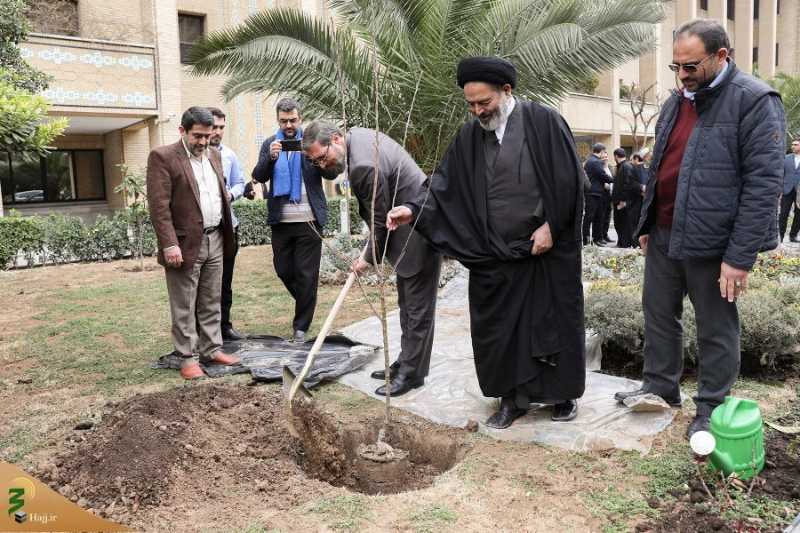از سوی سرپرست حجاج ایرانی و رئیس سازمان حج انجام شد:

کاشت دو اصله نهال مثمر در فضای سبز سازمان حج 5