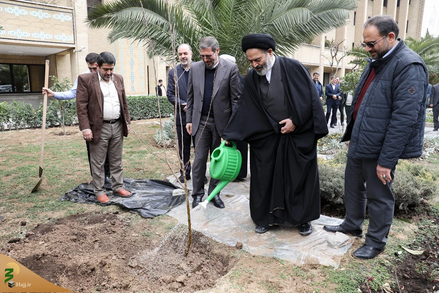 از سوی سرپرست حجاج ایرانی و رئیس سازمان حج انجام شد:

کاشت دو اصله نهال مثمر در فضای سبز سازمان حج 6