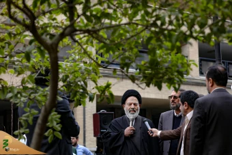 دو اصله نهال مثمر در فضای سبز سازمان حج 6