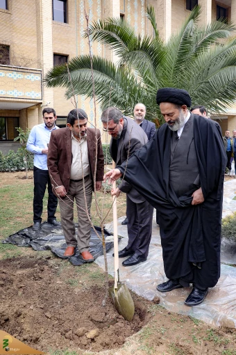 دو اصله نهال مثمر در فضای سبز سازمان حج 8
