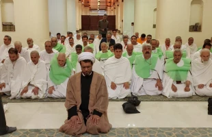مسجد شجره؛

میعادگاه احرام و سرآغاز مسیر عاشقی 4