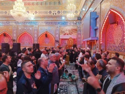 دعای کمیل در کربلای معلی برگزار شد 11