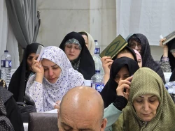 پژواک مناجات امیرمؤمنان (ع) در شب‌های سرنوشت‌ساز مدینه + فیلم 2