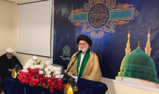 حال و هوای زائران ایرانی مدینه در احیای شب بیست و سوم + گزارش تصویری 8