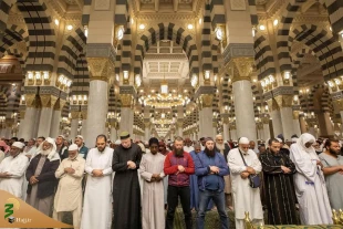 اقامه نماز تهجد در شب بیست و هفتم ماه مبارک رمضان در مسجد النبی(ص) + تصاویر 4