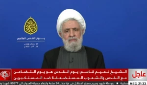 دبیرکل حزب الله لبنان:

دولت لبنان برای مقابله با اشغالگری تصمیم بگیرد/صبر مقاومت حدی دارد