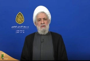 دبیرکل حزب الله لبنان:

دولت لبنان برای مقابله با اشغالگری تصمیم بگیرد/صبر مقاومت حدی دارد 3