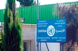 آوارگی هزاران فلسطینی در رفح / افزایش آمار شهدای غزه به ۵۰ هزار و ۳۵۷ نفر 3