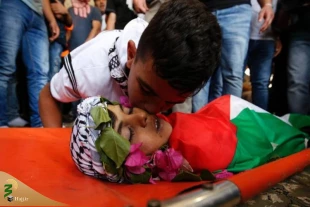 آوارگی هزاران فلسطینی در رفح / افزایش آمار شهدای غزه به ۵۰ هزار و ۳۵۷ نفر 4