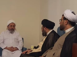 دیدار مسئول بعثه رهبری با رئیس سازمان فرهنگ و ارتباطات اسلامی؛ بررسی فعالیت‌های فرهنگی در مکه  3