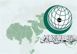 سازمان همکاری اسلامی بمباران یک مدرسه و انبار پزشکی در نوار غزه را محکوم کرد