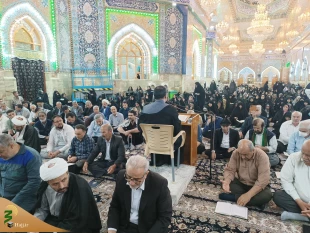 ندای این الحسن این الحسین زائران اباعبدالله در جوار حرم امام حسین (ع)
 2