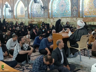 ندای این الحسن این الحسین زائران اباعبدالله در جوار حرم امام حسین (ع)
 2