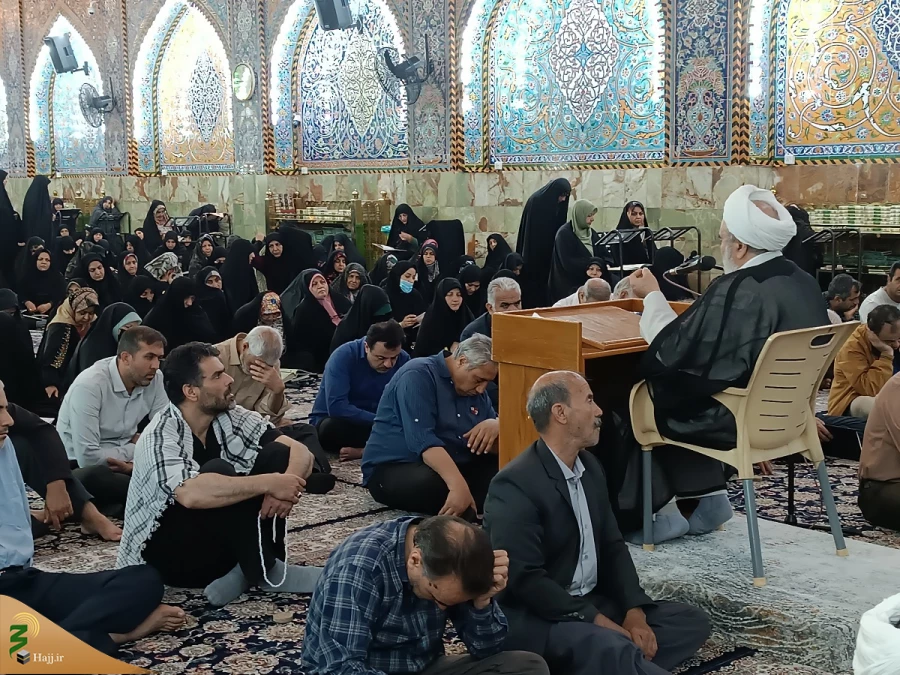 ندای این الحسن این الحسین زائران اباعبدالله در جوار حرم امام حسین (ع)
 2