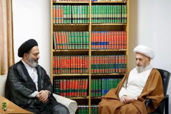 دیدار با مراجع عظام تقلید 17
