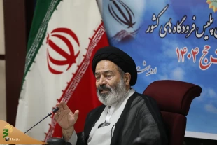 پلیس فرودگاه