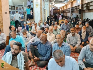 مراسم جشن ولادت حضرت معصومه(س) در حرم حضرت عباس 2