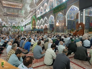 جشن میلاد امام رضا(ع) در حرم سید مظلومان و امام و سفینه النجات امت با حضور زائران ایرانی  و با استقبال زائرانی از ملیت های مختلف برگزار شد 15