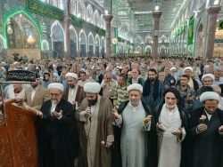 جشن میلاد امام رضا(ع) در حرم سید مظلومان و امام و سفینه النجات امت با حضور زائران ایرانی  و با استقبال زائرانی از ملیت های مختلف برگزار شد 17