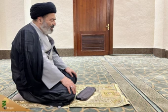 بازدید از مسجد شجره 12