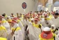 رئیس بعثة الحجاج الإیرانیین فی مسجد الشجرة: کانت الخدمات المقدمة للحجاج حتى الآن مرضیة. 8