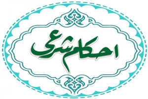جواب دادن به فحاشی