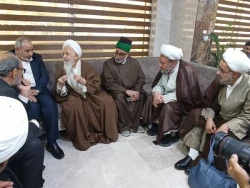استقبال با شکوه از آیت‌الله عبدالله جوادی آملی در کربلای معلی  9