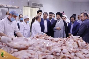 إن رضا الحجاج عن طعام المدینة المنورة هو ثمرة العمل الجهادی و النوایا الصادقة للعاملین فی المطبخ 6