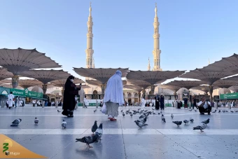 حال‌وهوای مسجد النبی صلی الله علیه وآله در ایام حج 1404 27