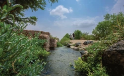 زیارت در حج| به تماشای ینبوع، به شوق علی(ع) 2