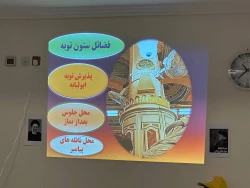 آشنایی زائران مدینه با مزار نجمه خاتون در شب شهادت امام رضا(ع)  6