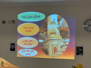 آشنایی زائران مدینه با مزار نجمه خاتون در شب شهادت امام رضا(ع)  6