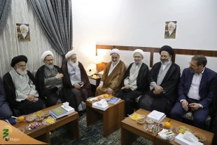 تشکر نمایندگان مراجع عظام تقلید از برنامه ریزی های خوب مسئولان حج و زیارت ایران 3