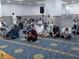 ندبه منتظران امام زمان(عج) در سرزمین ظهور +عکس 2