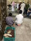 دلتنگ «هلابیکم یا زوار ابوسجاد» در جوار خانه مادر 11