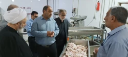 بازدید مسئول دفتر نمایندگی بعثه مقام معظم رهبری در نجف از اشپزخانه الغدیر  8