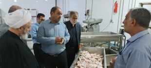 بازدید مسئول دفتر نمایندگی بعثه مقام معظم رهبری در نجف از اشپزخانه الغدیر  8