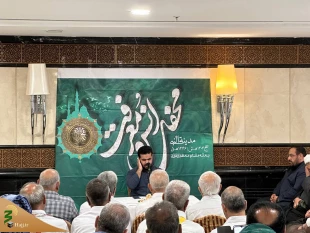 طنین روضه مظلومیت یگانه فرزند امام رضا(ع) در مدینه الرسول(ص) 4