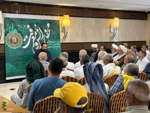 طنین روضه مظلومیت یگانه فرزند امام رضا(ع) در مدینه الرسول(ص) 10