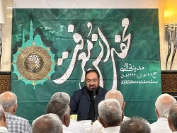 طنین روضه مظلومیت یگانه فرزند امام رضا(ع) در مدینه الرسول(ص) 11
