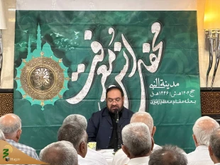 طنین روضه مظلومیت یگانه فرزند امام رضا(ع) در مدینه الرسول(ص) 11
