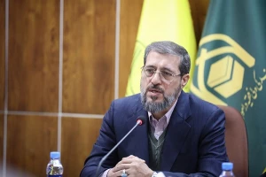 واکنش رئیس سازمان حج و زیارت به بازداشت یک زائر