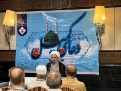 فریاد بغض‌های فروخورده زائران در محفل دعای کمیل مدینه النبی(ع) 4